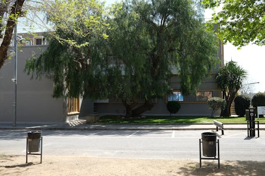 A peaceful urban street scene featuring a shaded building, trees, and clean surroundings, with no visible people.